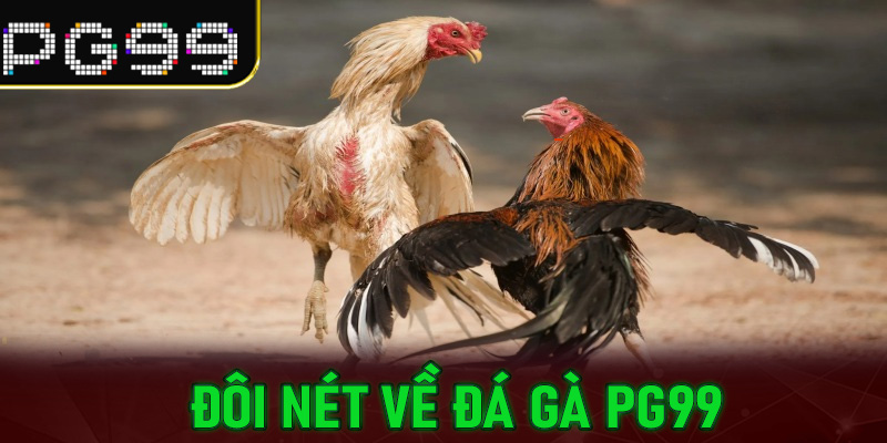 Đôi nét về Đá Gà PG99