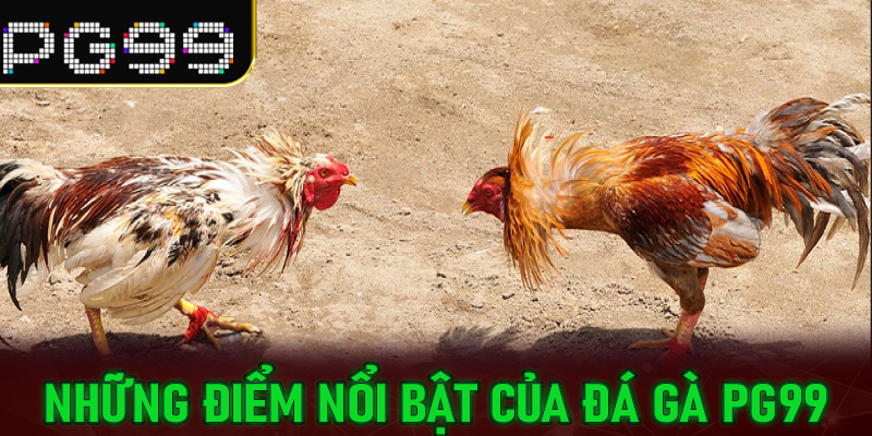 Những điểm nổi bật của Đá Gà PG99