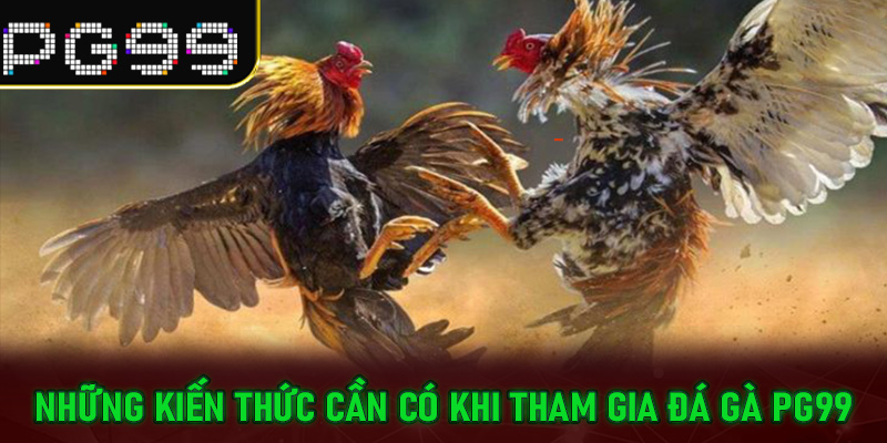 Những kiến thức cần có khi tham gia Đá Gà PG99