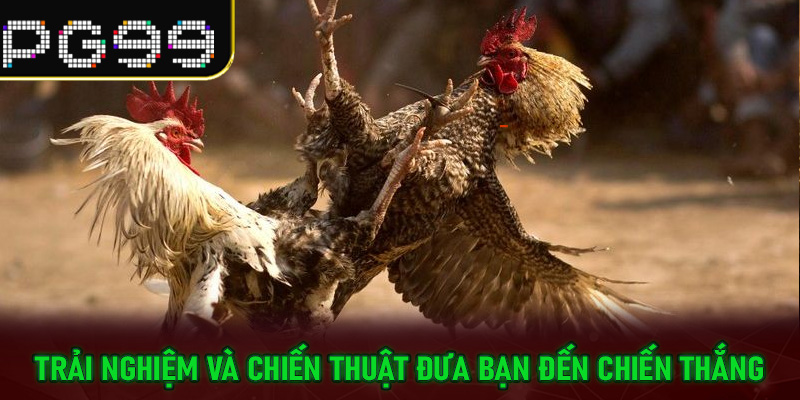 Trải nghiệm và chiến thuật đưa bạn đến chiến thắng